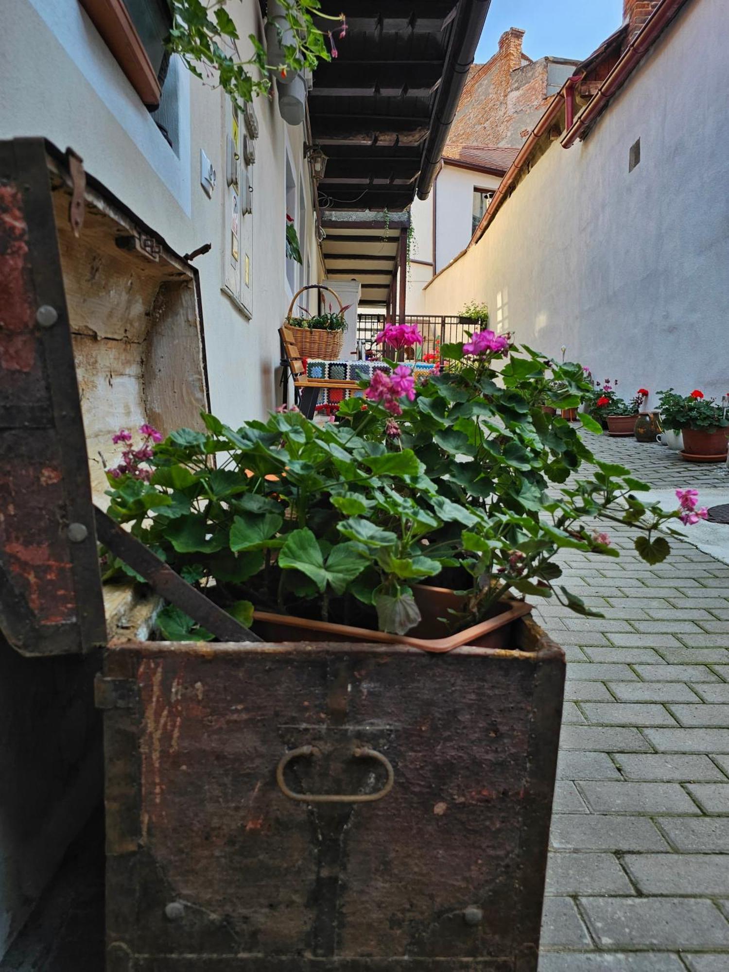 Apartamento Central Cozy House Sibiu Exterior foto